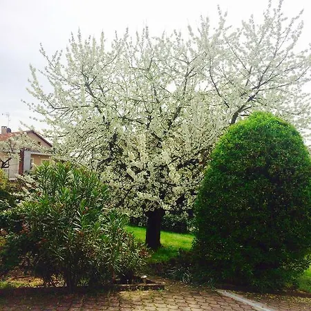 I Ciliegi Μονκαλιέρι